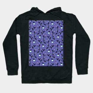 Galaxy Black Cat Hoodie